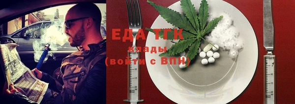 индика Мегион